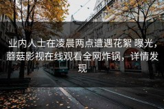 业内人士在凌晨两点遭遇花絮 曝光，蘑菇影视在线观看全网炸锅，详情发现