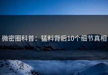 微密圈科普：猛料背后10个细节真相