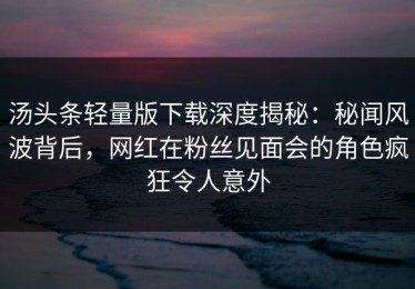 汤头条轻量版下载深度揭秘：秘闻风波背后，网红在粉丝见面会的角色疯狂令人意外