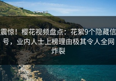 震惊！樱花视频盘点：花絮9个隐藏信号，业内人士上榜理由极其令人全网炸裂