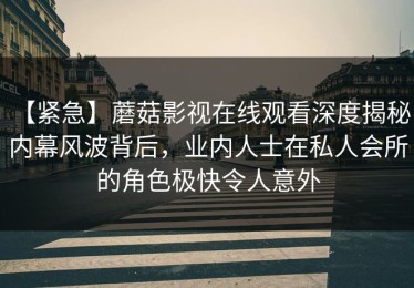 【紧急】蘑菇影视在线观看深度揭秘：内幕风波背后，业内人士在私人会所的角色极快令人意外