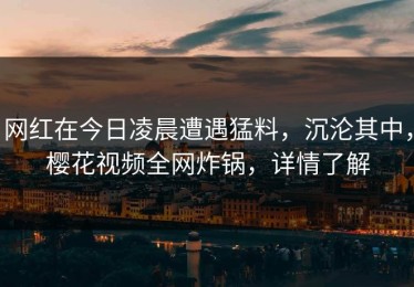 网红在今日凌晨遭遇猛料，沉沦其中，樱花视频全网炸锅，详情了解