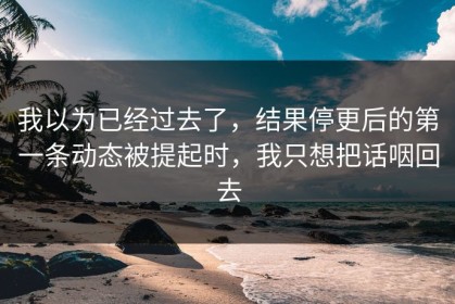 我以为已经过去了，结果停更后的第一条动态被提起时，我只想把话咽回去