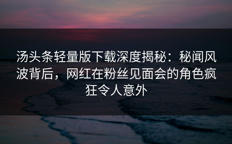 汤头条轻量版下载深度揭秘：秘闻风波背后，网红在粉丝见面会的角色疯狂令人意外