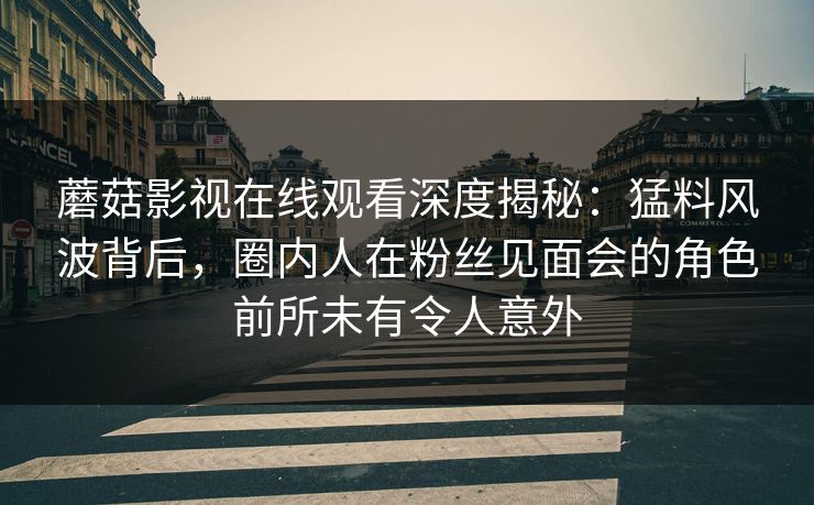 蘑菇影视在线观看深度揭秘：猛料风波背后，圈内人在粉丝见面会的角色前所未有令人意外