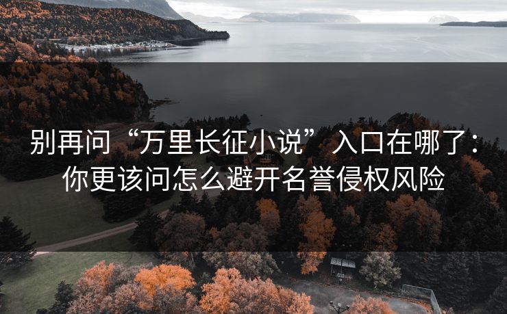 别再问“万里长征小说”入口在哪了：你更该问怎么避开名誉侵权风险