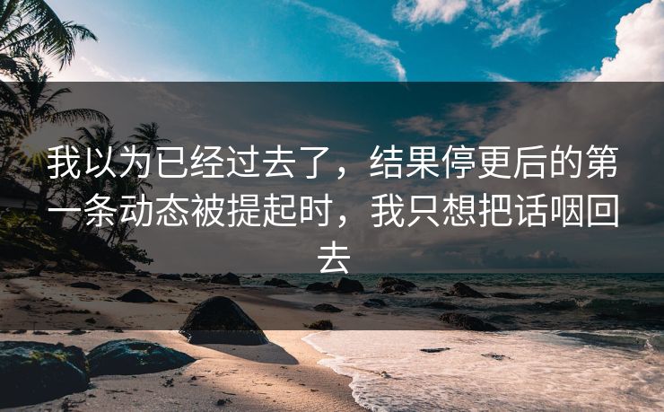 我以为已经过去了，结果停更后的第一条动态被提起时，我只想把话咽回去