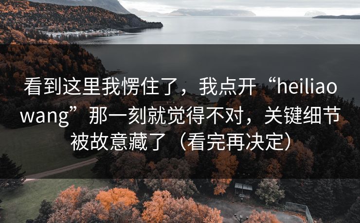 看到这里我愣住了，我点开“heiliaowang”那一刻就觉得不对，关键细节被故意藏了（看完再决定）