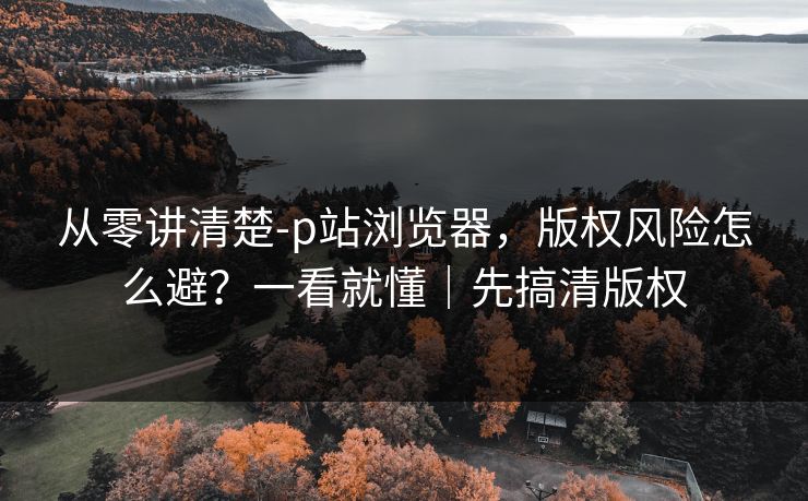 从零讲清楚-p站浏览器,版权风险怎么避?一看就懂|先搞清版权 从零讲清楚-p站浏览器,版权风险怎么避?一看就懂|先搞清版权