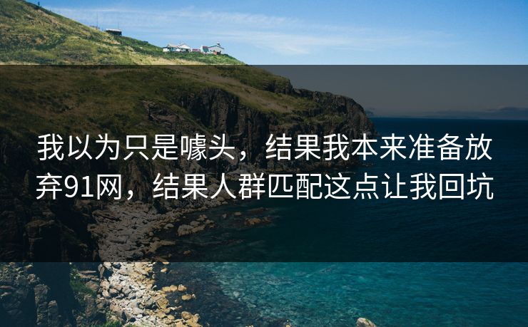 我以为只是噱头，结果我本来准备放弃91网，结果人群匹配这点让我回坑