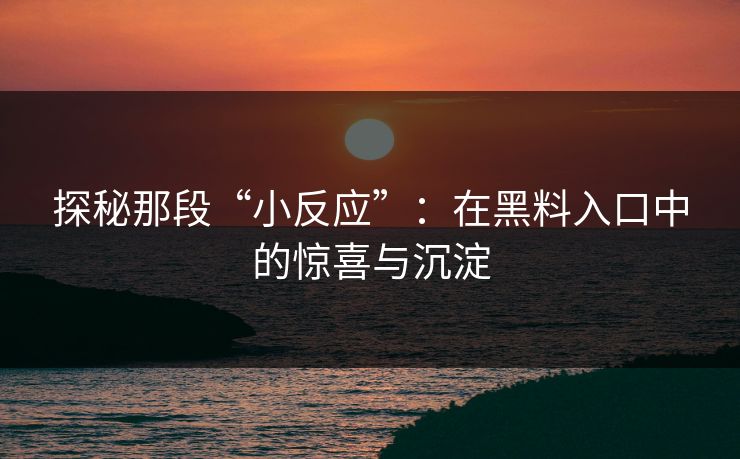 探秘那段“小反应”:在黑料入口中的惊喜与沉淀 探秘那段“小反应”:在黑料入口中的惊喜与沉淀