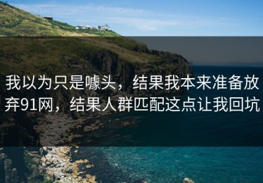 我以为只是噱头，结果我本来准备放弃91网，结果人群匹配这点让我回坑